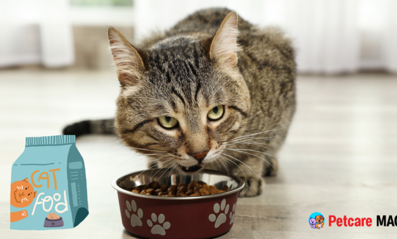 Dry Cat Food for Sensitive Stomachs