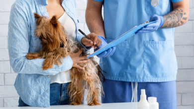 pet care health