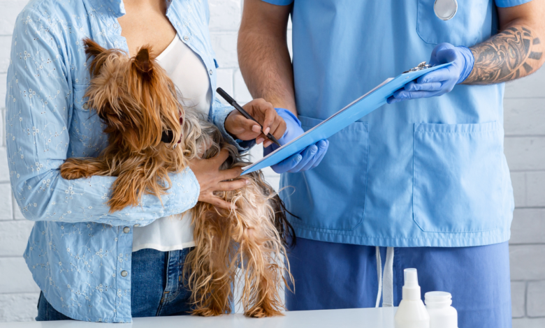 pet care health