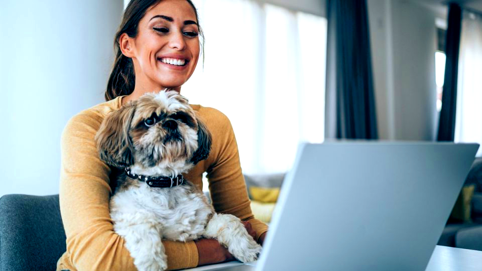 Tech-Savvy Pet Parenting: What's New in Pet Care for 2024 - Petcare Mag