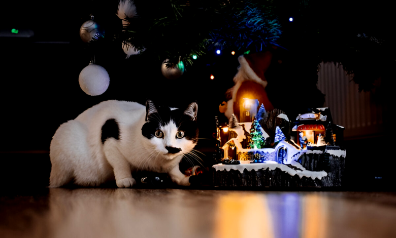 Holiday Hazards