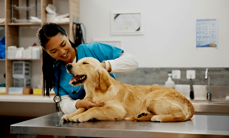 Pet Care