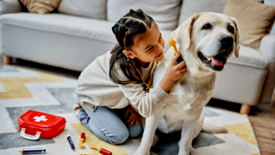 Pet First Aid