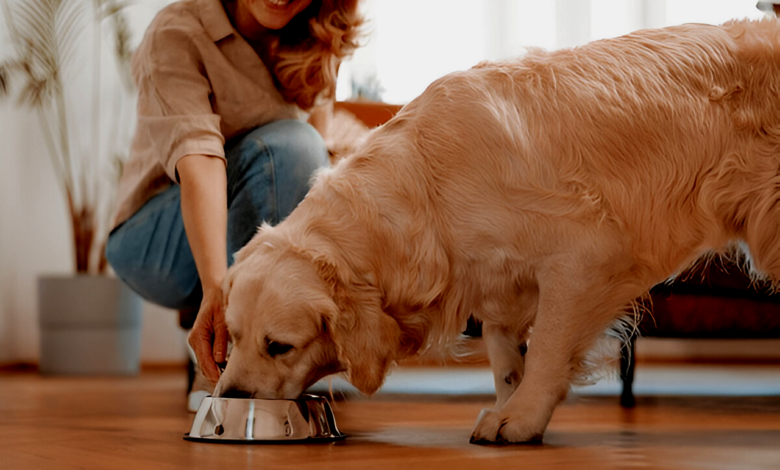 Pet Food