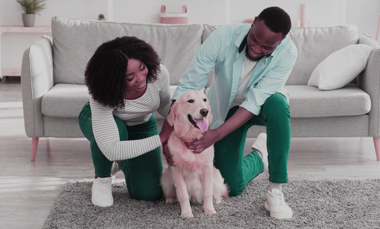 Pet Health Services