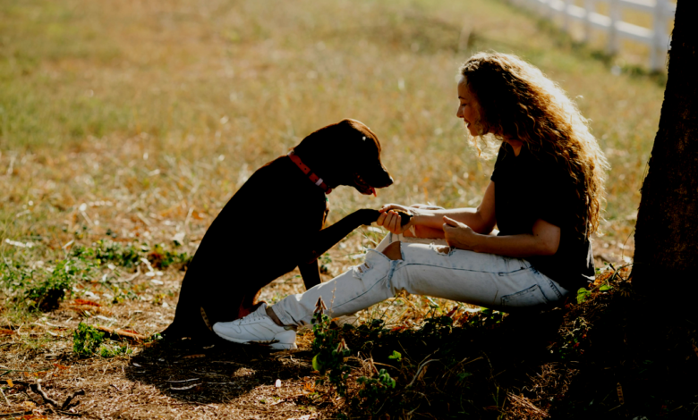Language and Behavior