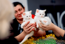 Pet Charity Event