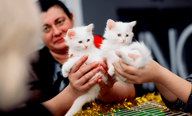 Pet Charity Event
