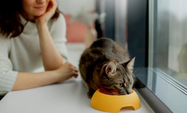 Pet Food