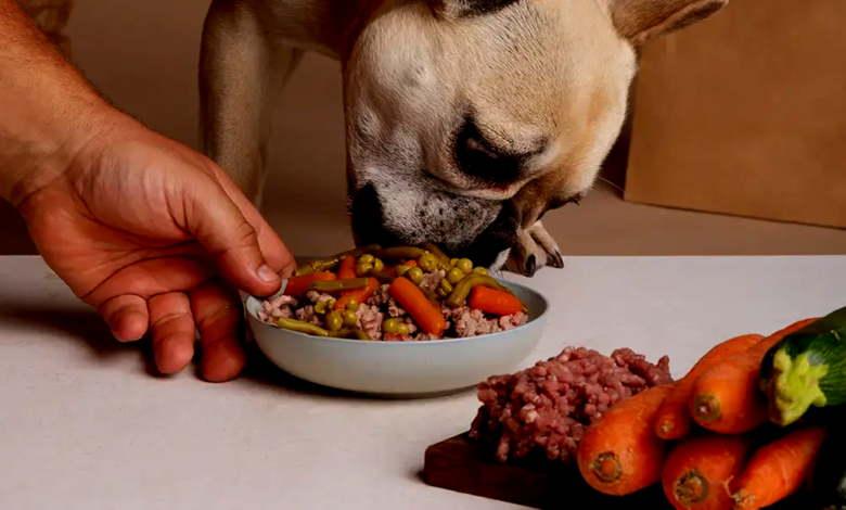 Pet Food