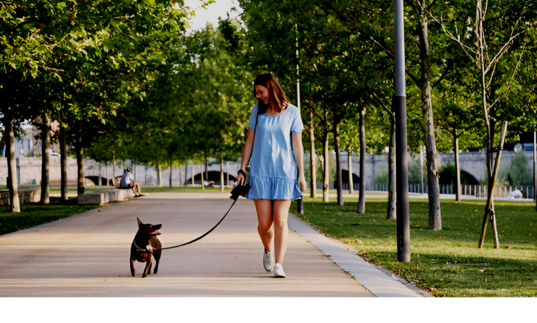 Pet-Friendly Parks