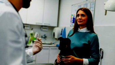 Pet Insurance