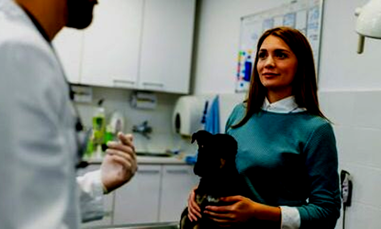 Pet Insurance