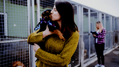 Pet Shelters