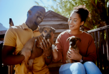 Pet Welfare Organizations