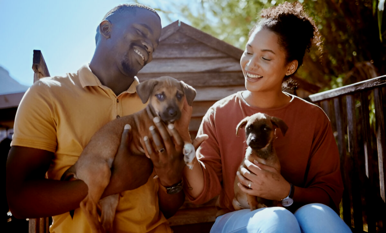 Pet Welfare Organizations