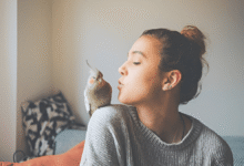 Pet Birds