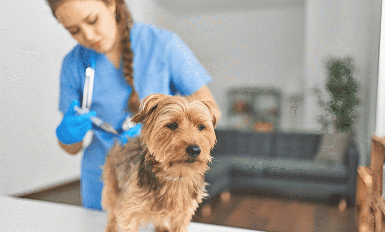 Pet Vaccination