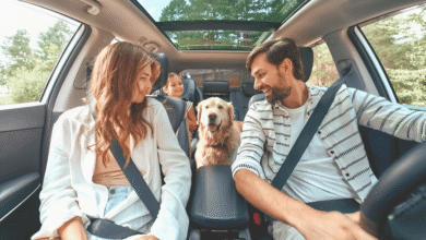 Travel With Pets