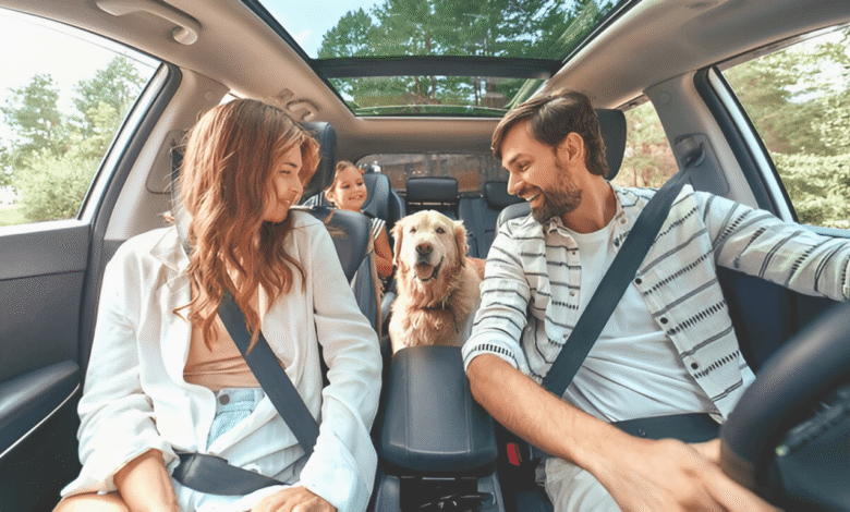 Travel With Pets