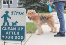 Warning Signs Your Dog