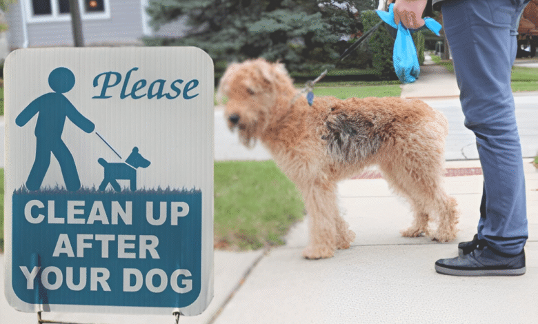 Warning Signs Your Dog